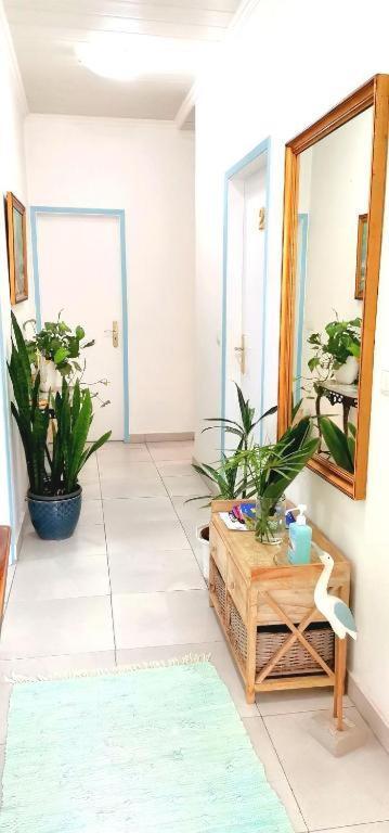 Home & Flower - Private Bedrooms Funchal Luaran gambar