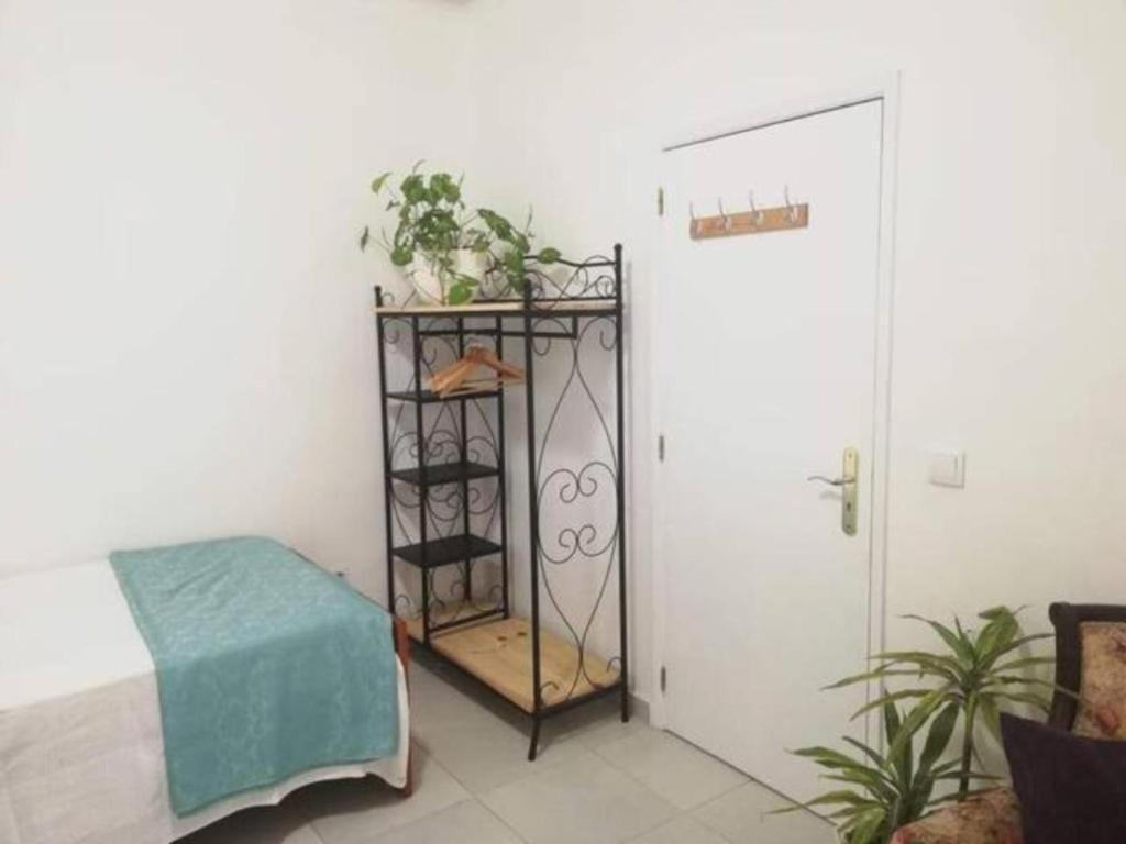 Home & Flower - Private Bedrooms Funchal Luaran gambar